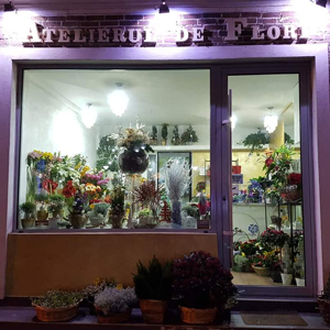 Florarie Banu Manta Bucuresti (Titulescu, Primaria sector 1)